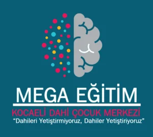 Çözüm Ortağı Birobot Gölcük Robotik Kodlama